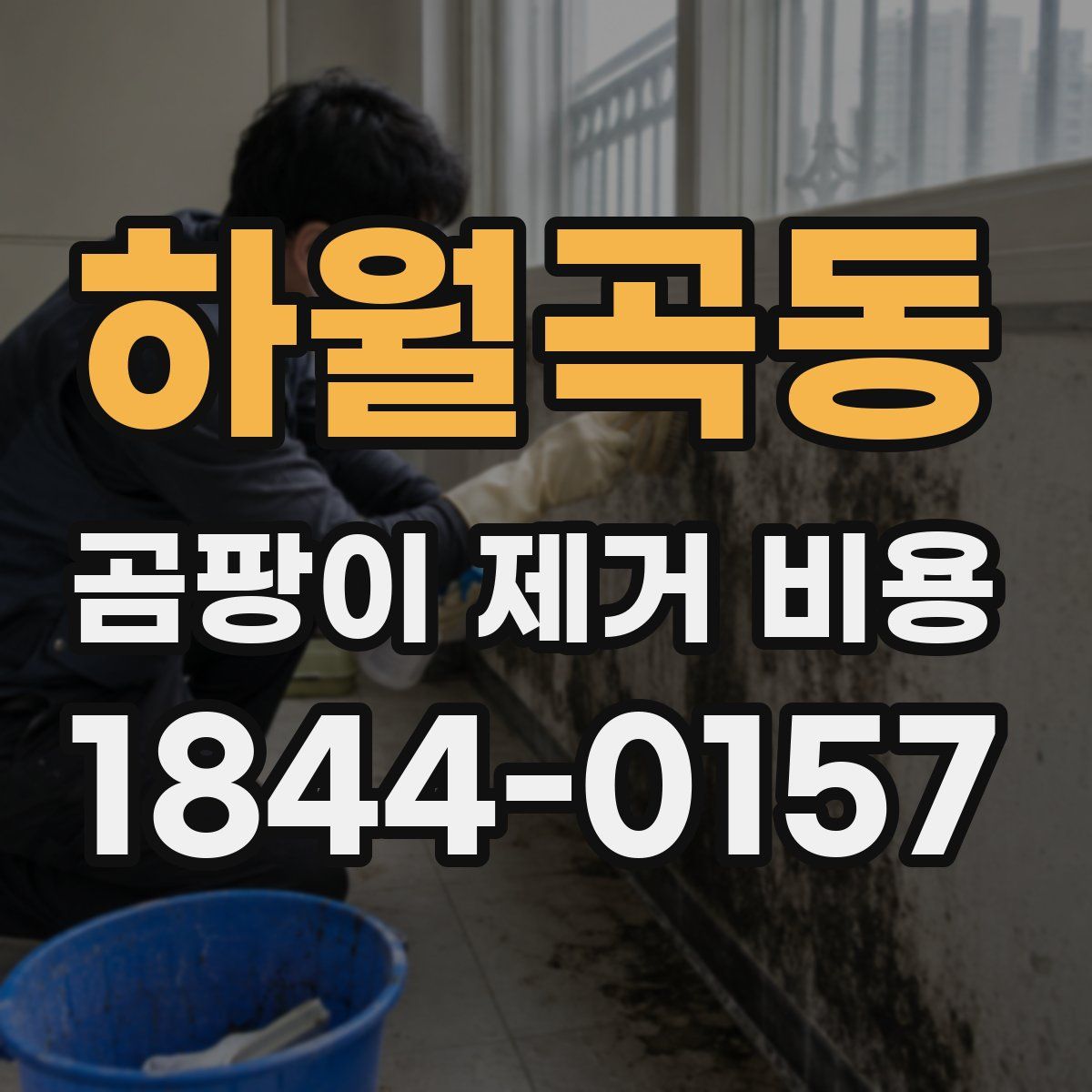 하월곡동 곰팡이 제거 비용