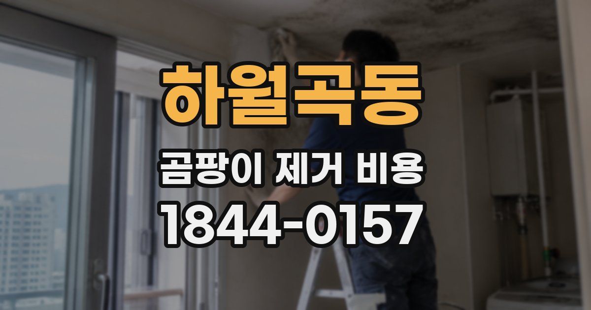 하월곡동 곰팡이 제거 비용