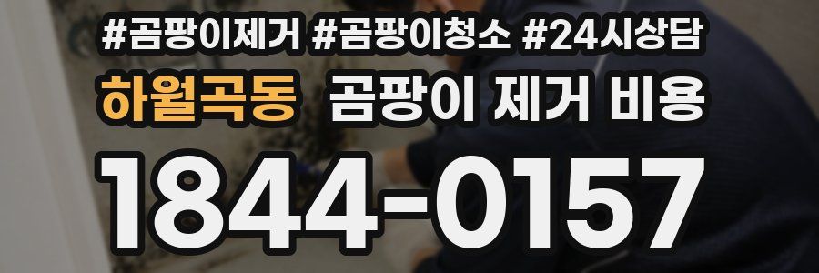 하월곡동 곰팡이 제거 비용
