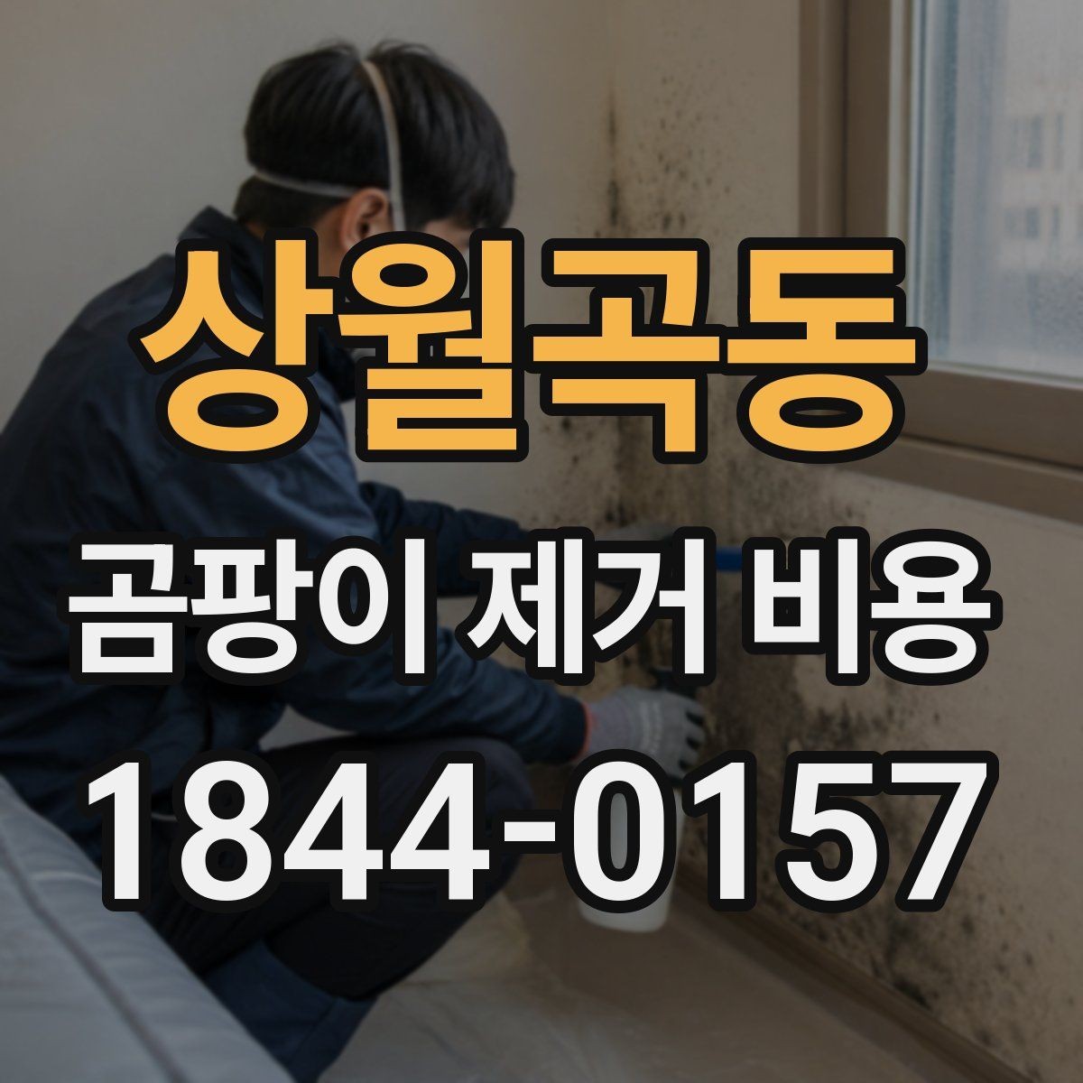 상월곡동 곰팡이 제거 비용 다세대 주택 배관 주변 점검 포인트
