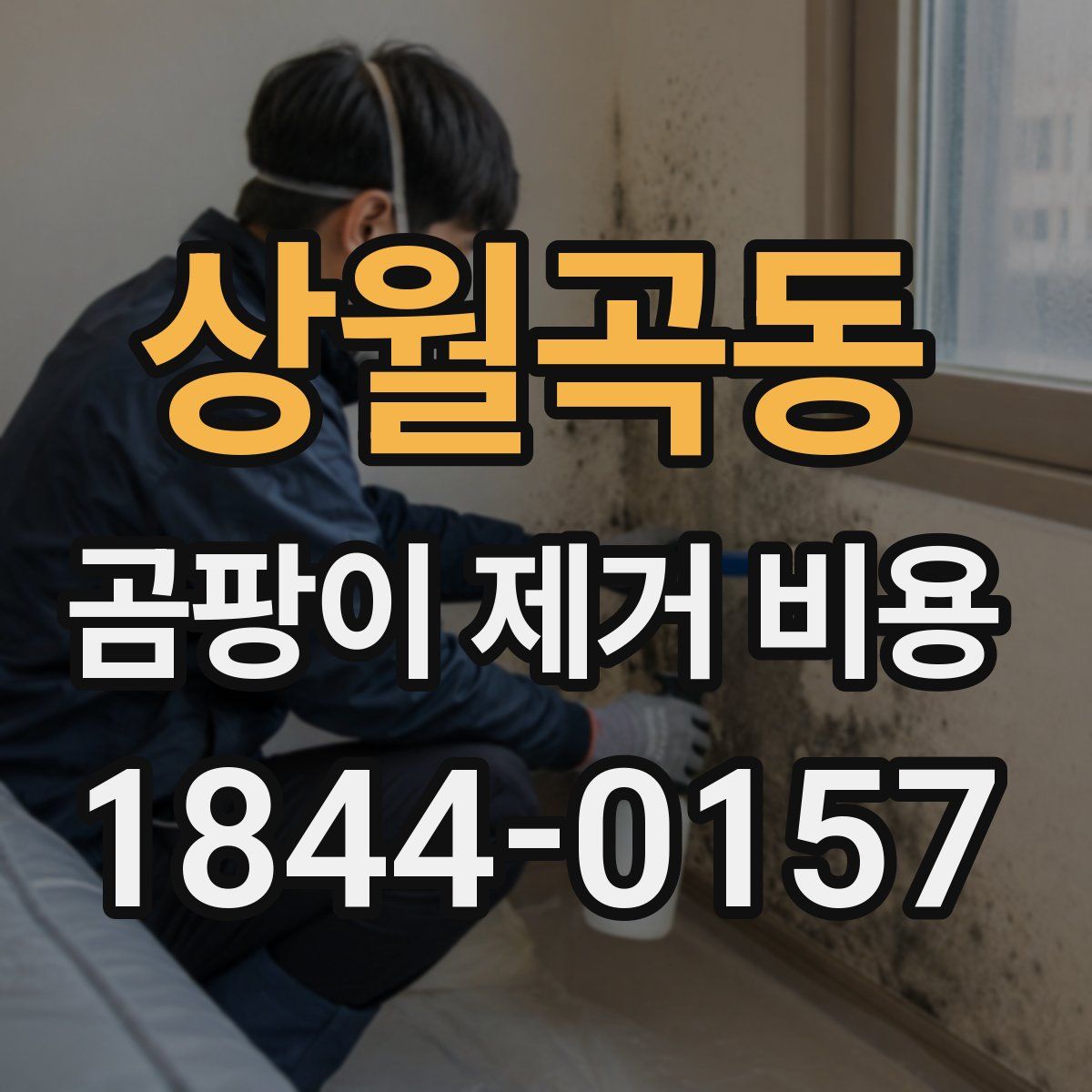 상월곡동 곰팡이 제거 비용