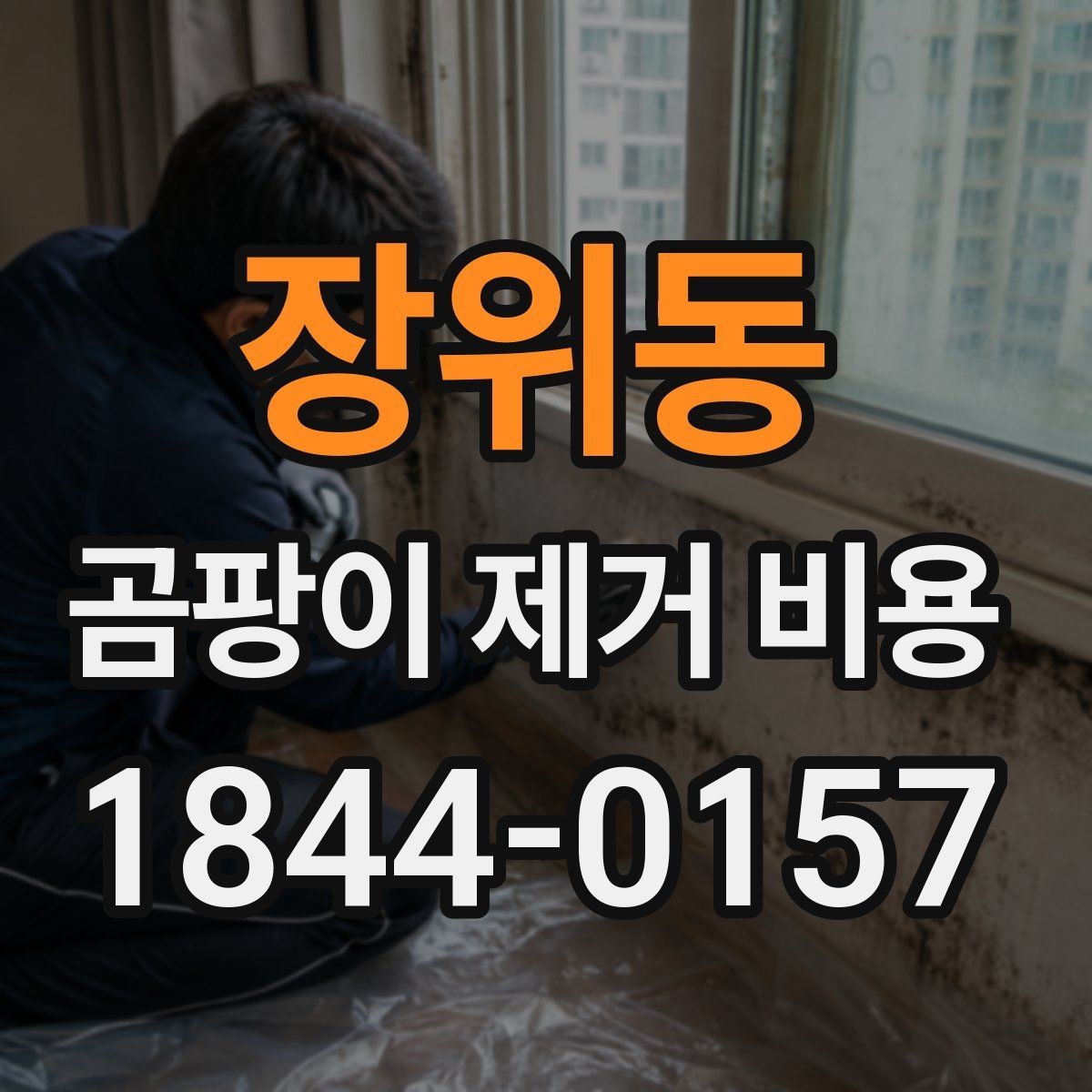 장위동 곰팡이 제거 비용 작업 시간과 인력 배치가 달라지는 이유