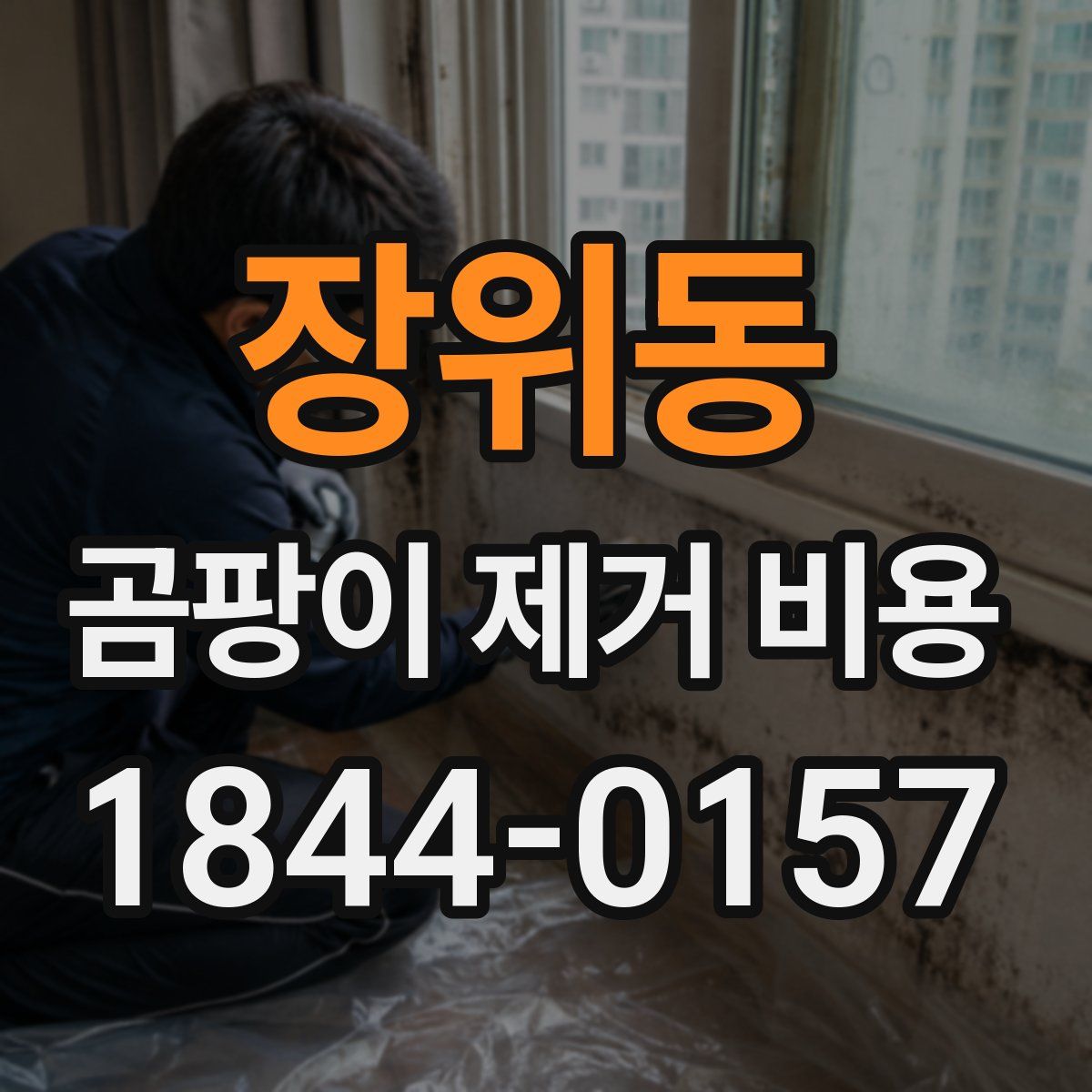 장위동 곰팡이 제거 비용