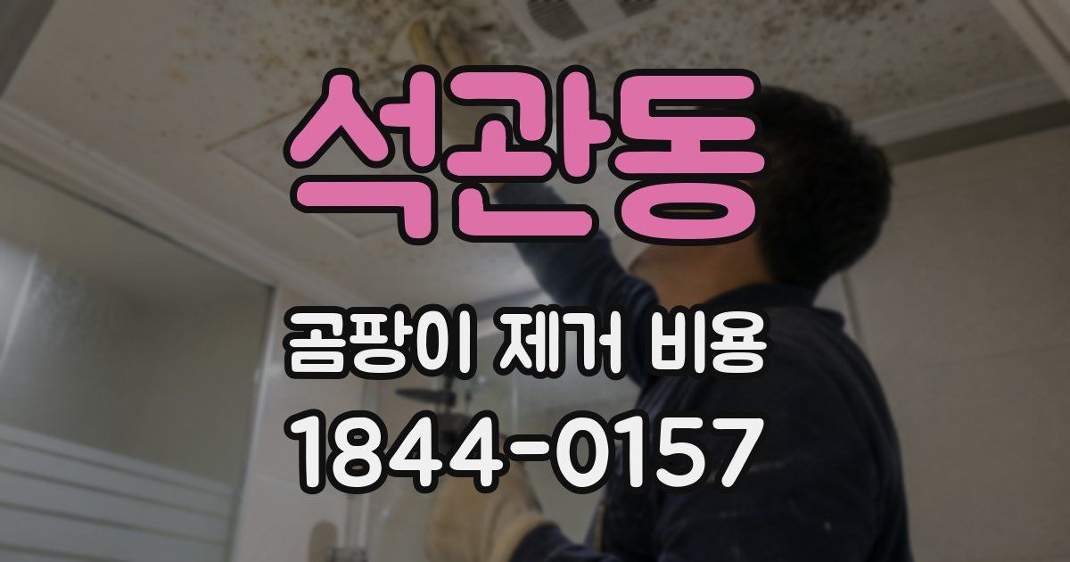 석관동 곰팡이 제거 비용