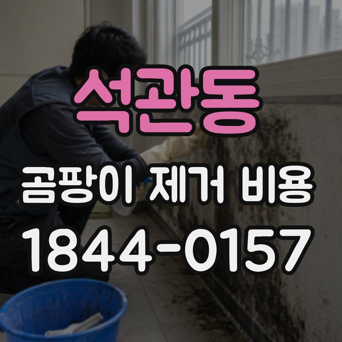 석관동 곰팡이 제거 비용
