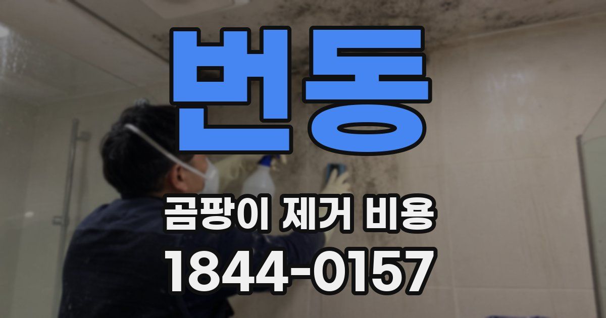 번동 곰팡이 제거 비용