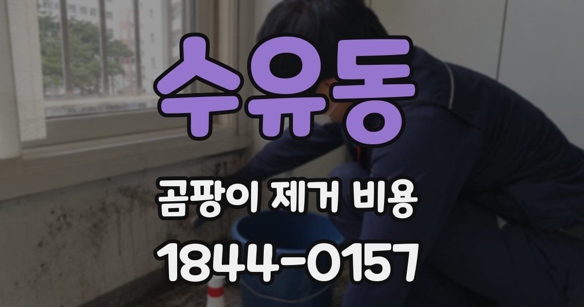 수유동 곰팡이 제거 비용