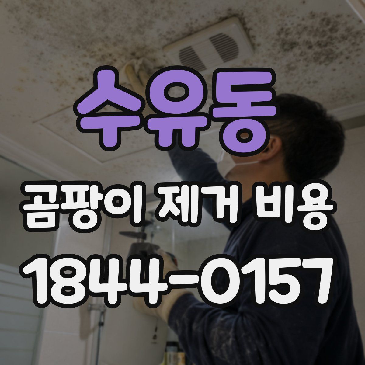 수유동 곰팡이 제거 비용