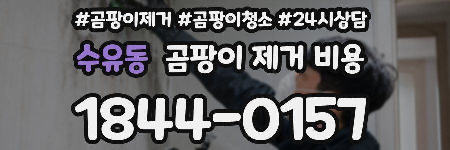 수유동 곰팡이 제거 비용
