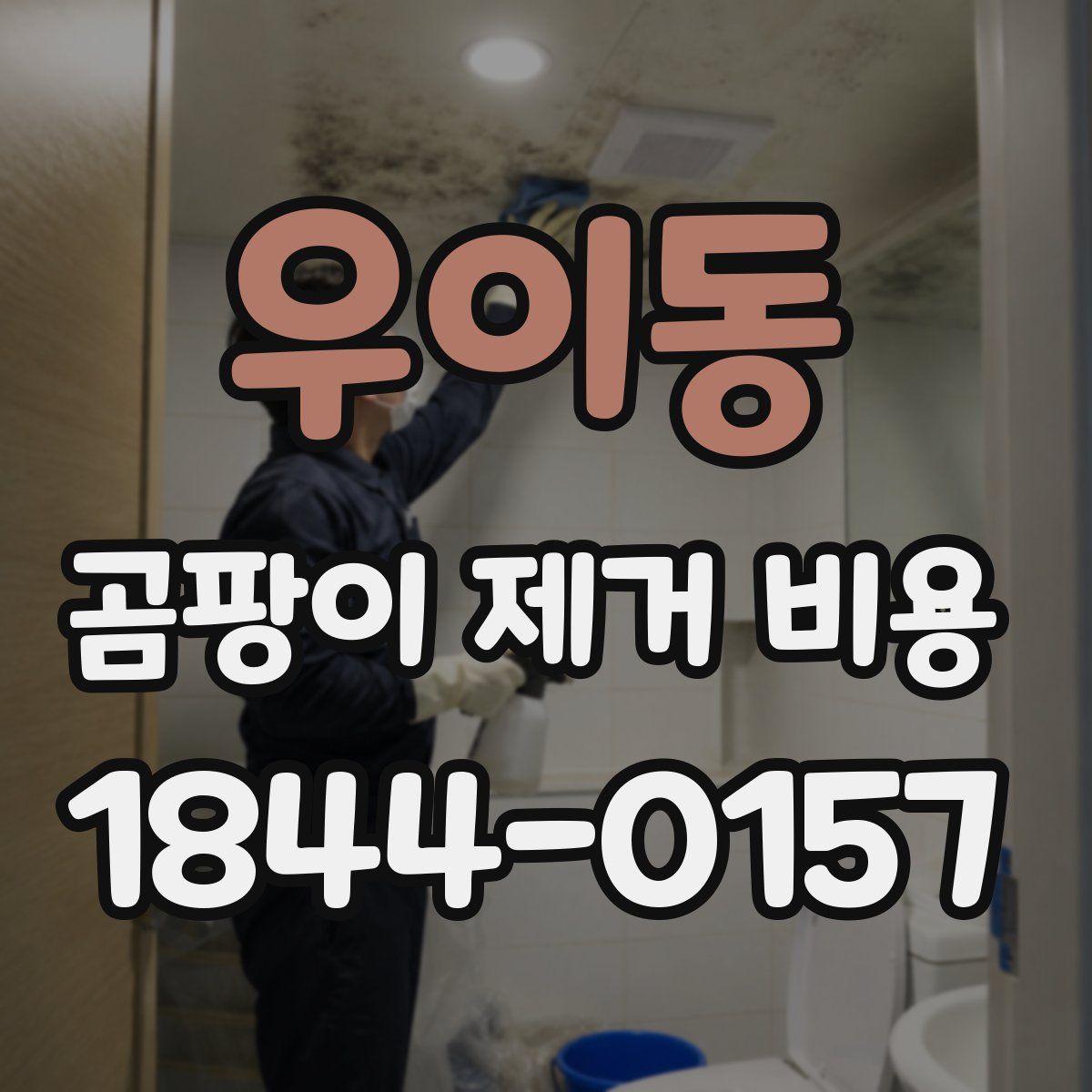 우이동 곰팡이 제거 비용