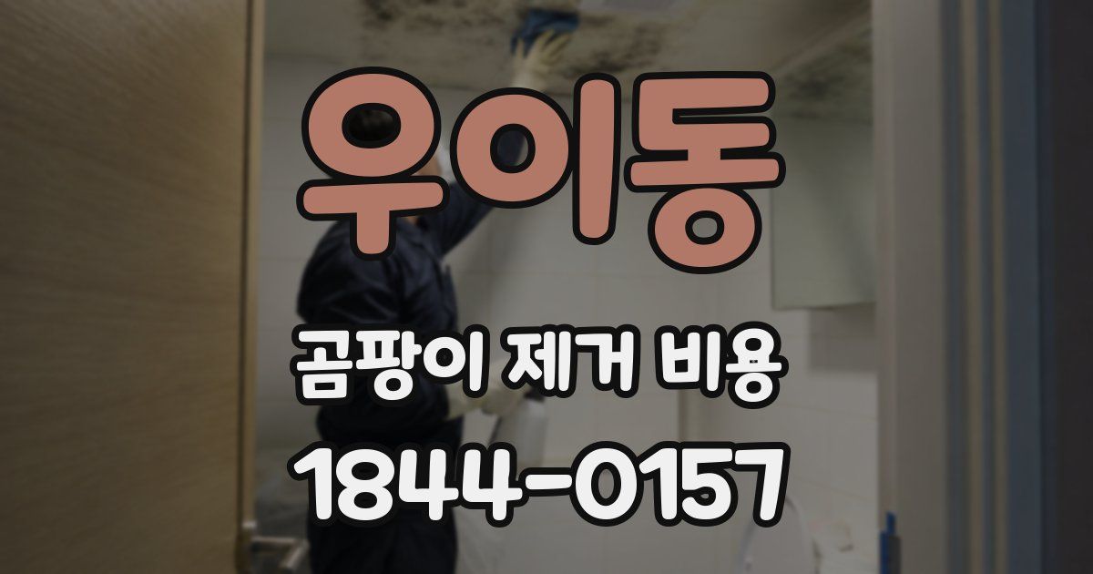 우이동 곰팡이 제거 비용