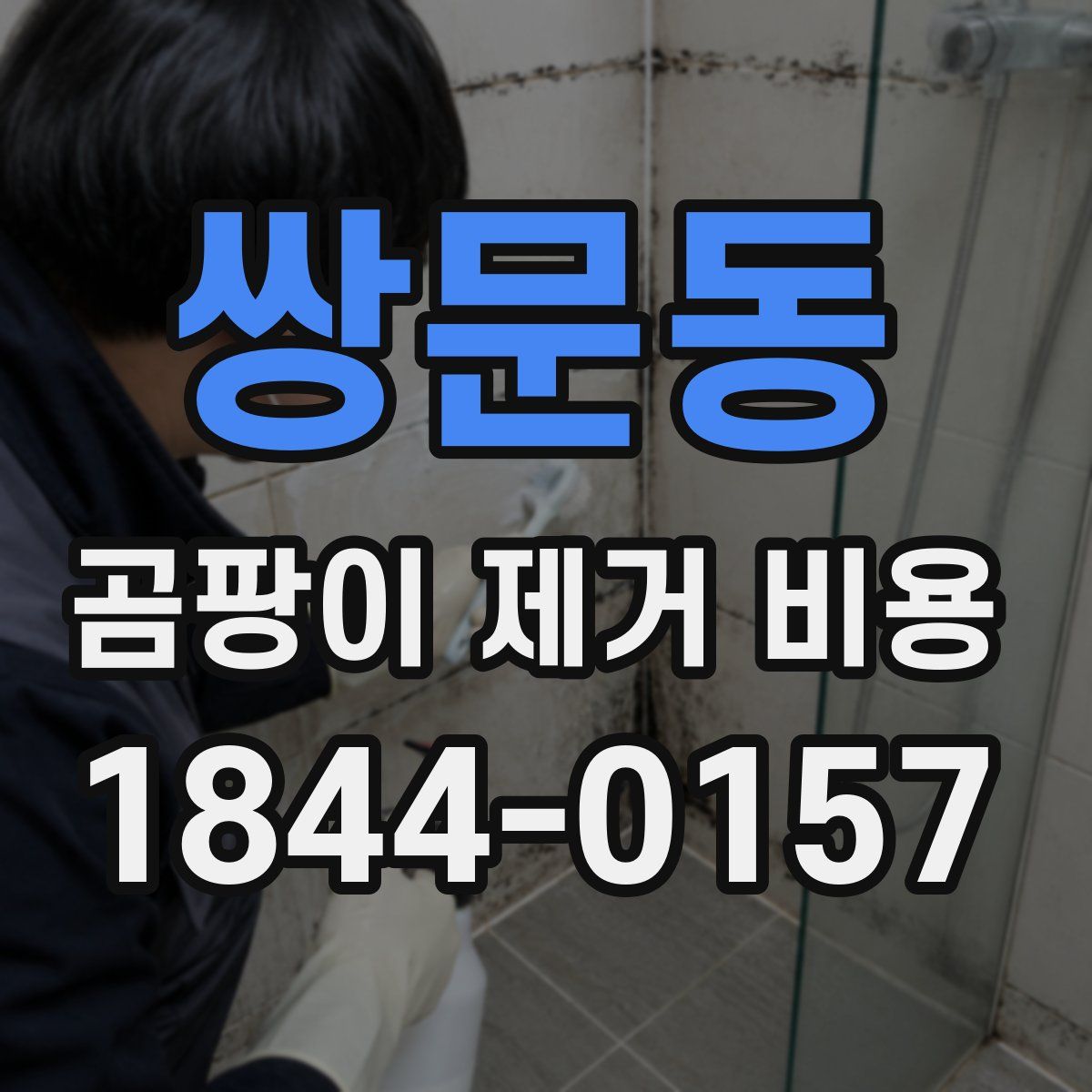 쌍문동 곰팡이 제거 비용