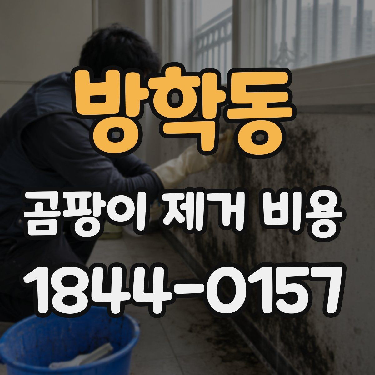 방학동 곰팡이 제거 비용 방수층 손상 여부에 따라 달라지는 작업