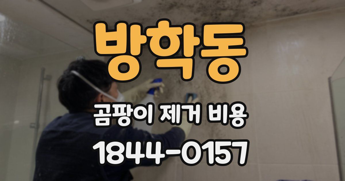 방학동 곰팡이 제거 비용