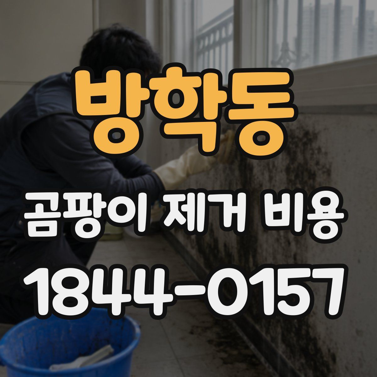 방학동 곰팡이 제거 비용