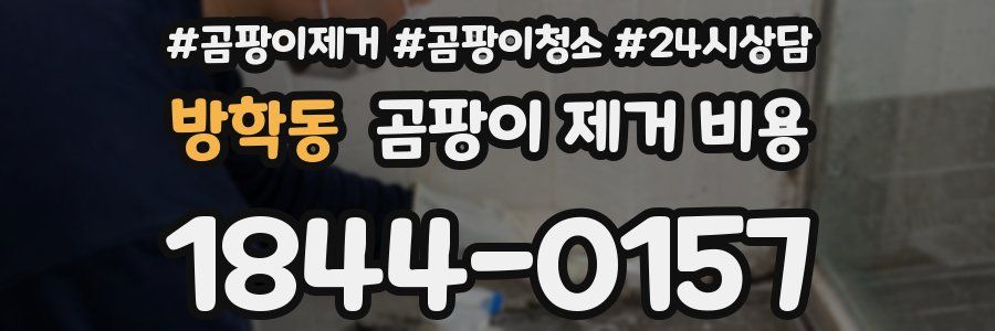 방학동 곰팡이 제거 비용