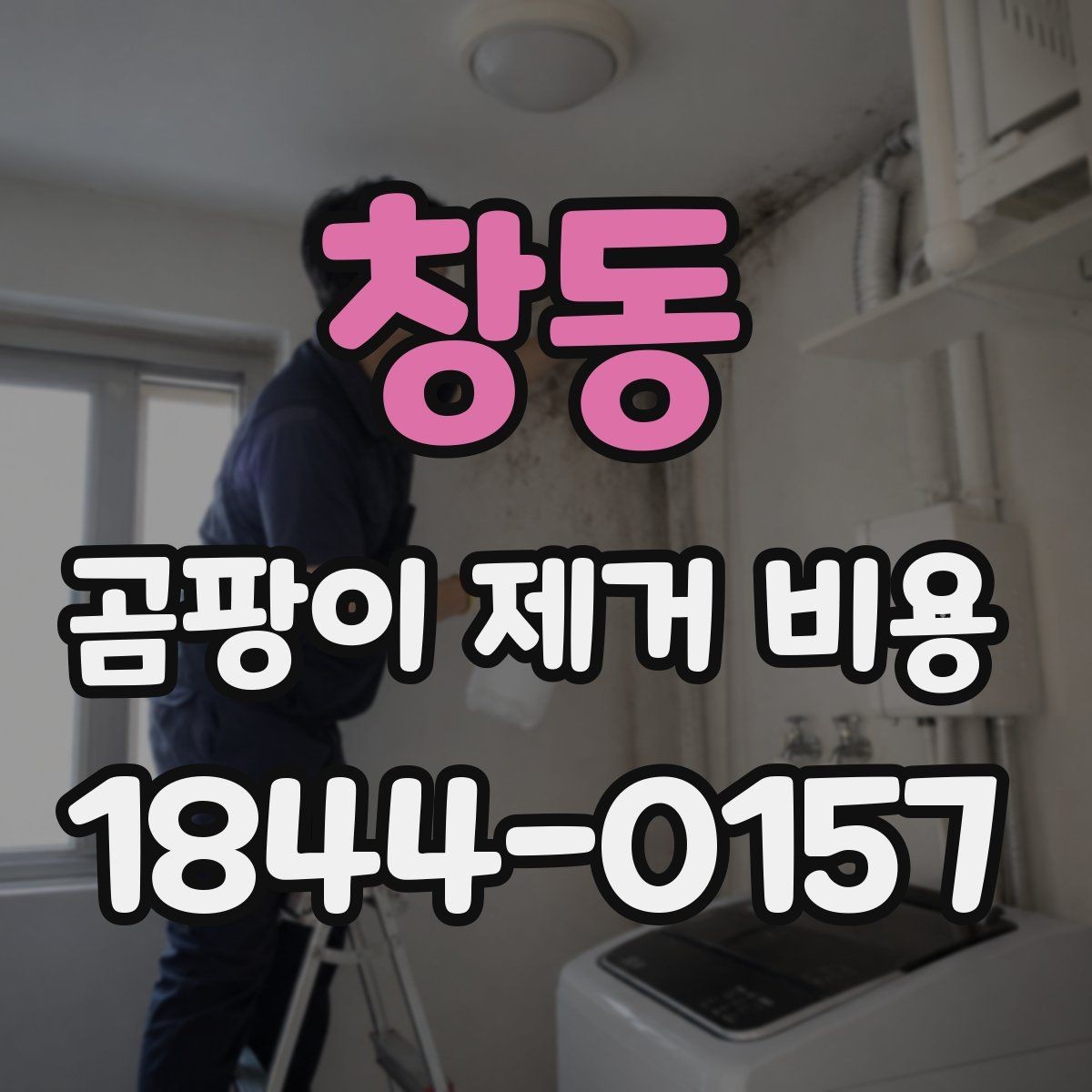 창동 곰팡이 제거 비용 누수 보수 범위에 따라 달라지는 이유