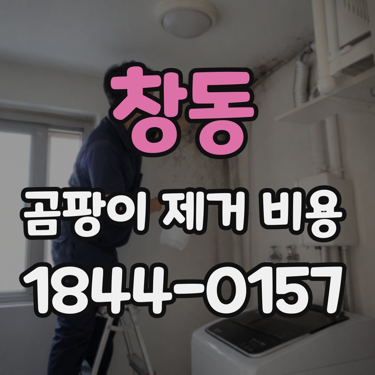 창동 곰팡이 제거 비용