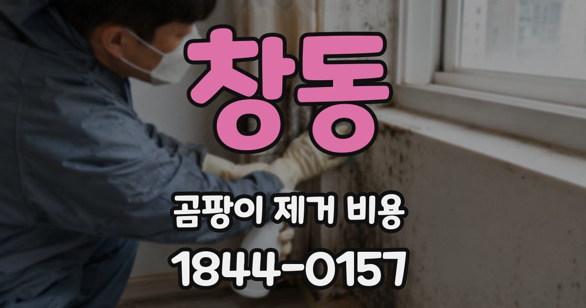 창동 곰팡이 제거 비용