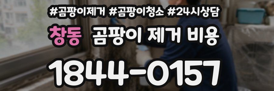 창동 곰팡이 제거 비용