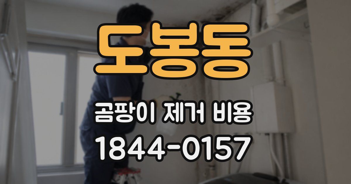 도봉동 곰팡이 제거 비용