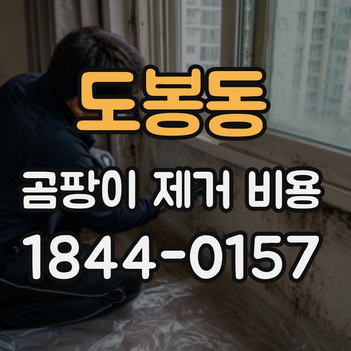 도봉동 곰팡이 제거 비용