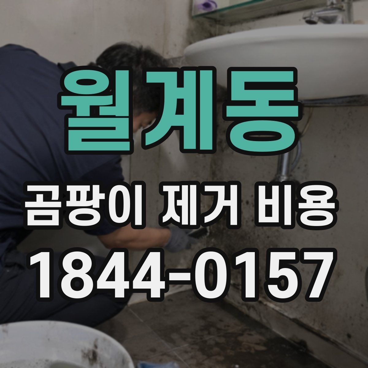 월계동 곰팡이 제거 비용 재발 예방 관리까지 넣은 견적 확인법