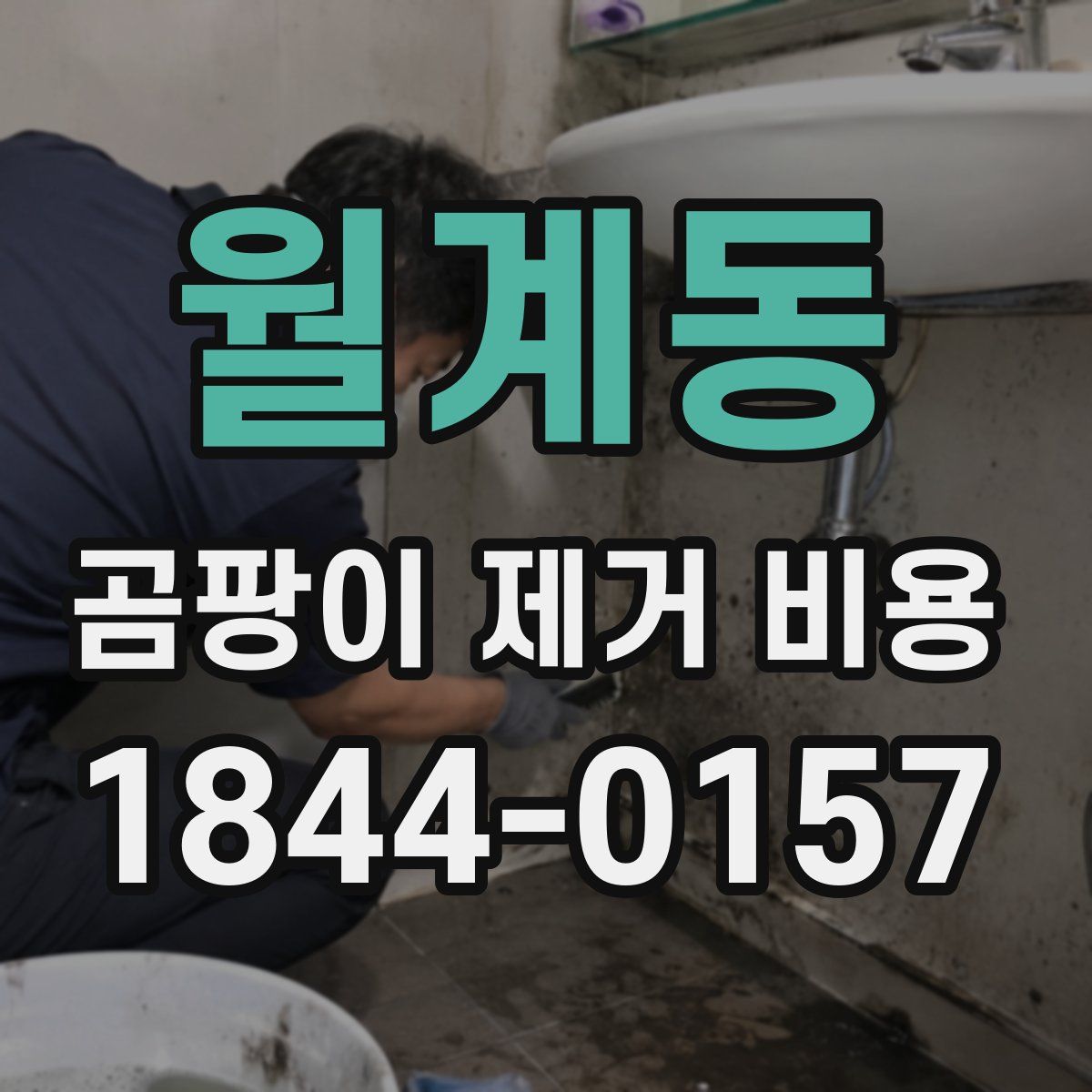 월계동 곰팡이 제거 비용