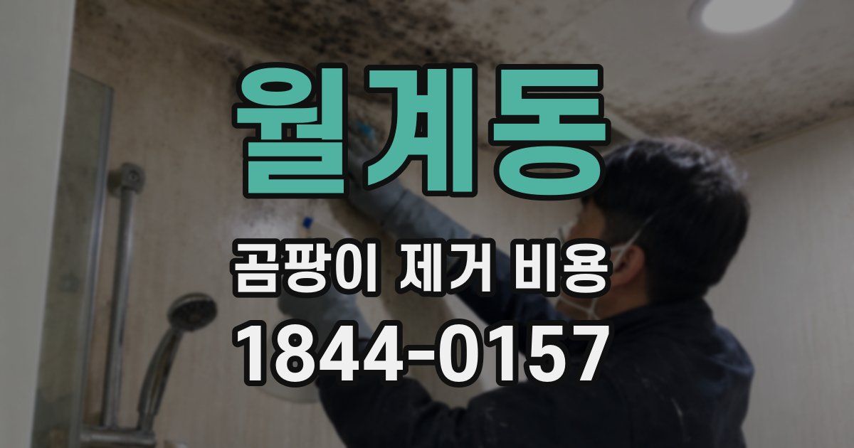 월계동 곰팡이 제거 비용