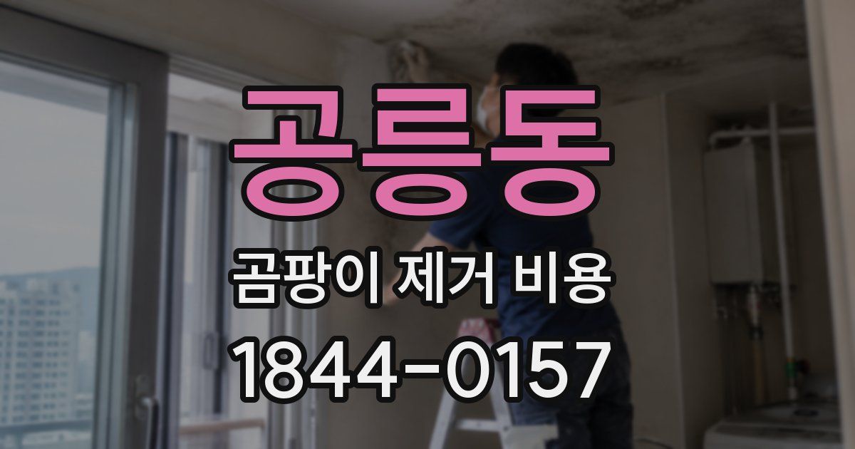 공릉동 곰팡이 제거 비용