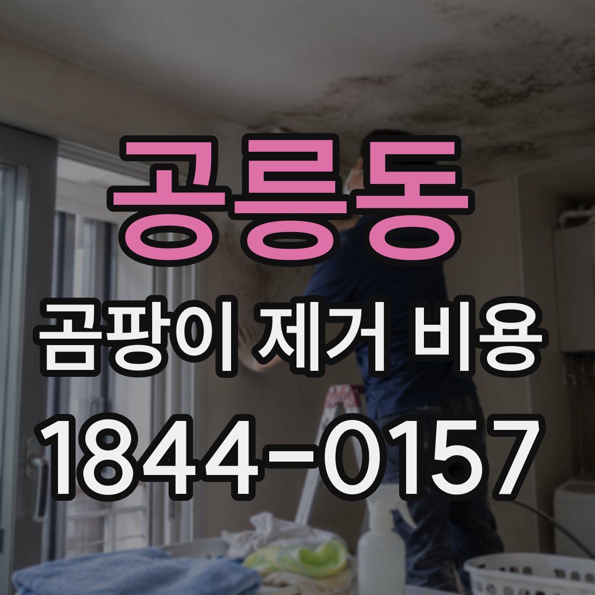 공릉동 곰팡이 제거 비용