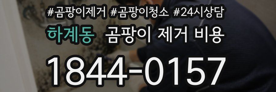 하계동 곰팡이 제거 비용