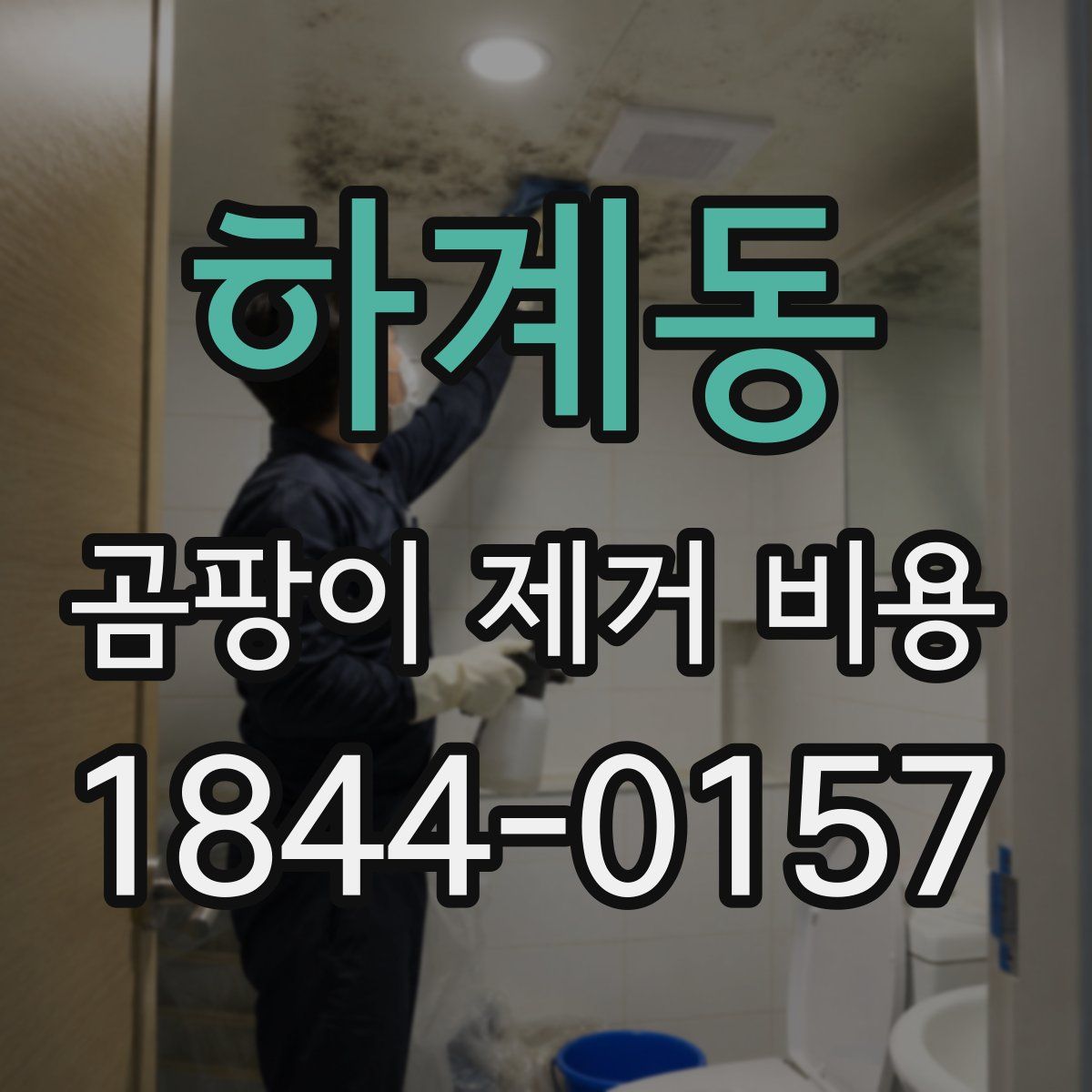 하계동 곰팡이 제거 비용
