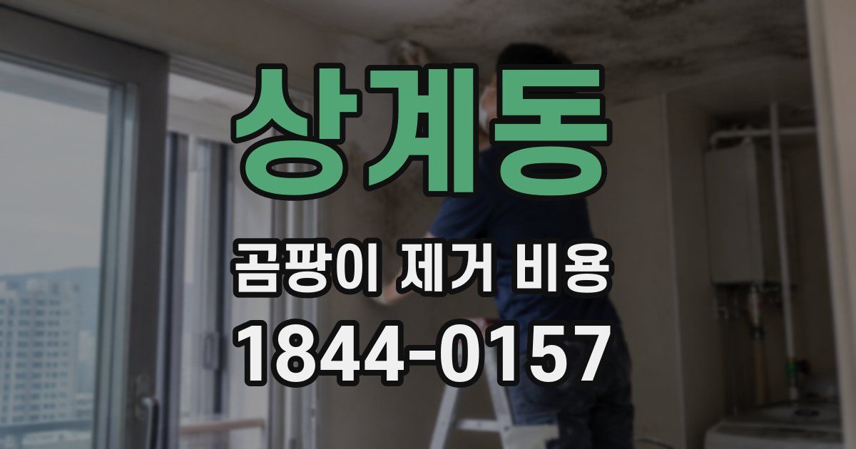 상계동 곰팡이 제거 비용