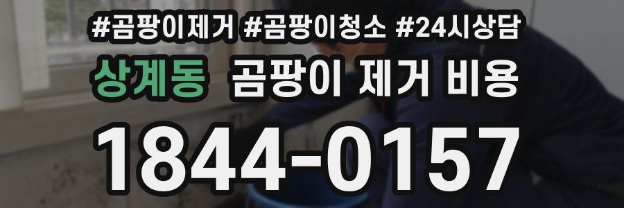 상계동 곰팡이 제거 비용