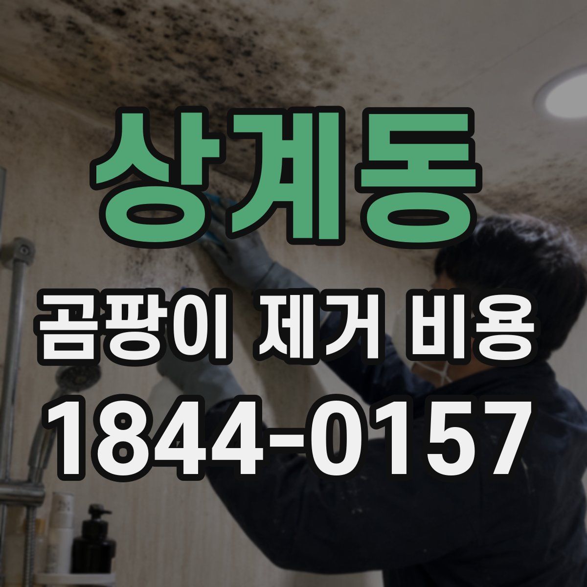 상계동 곰팡이 제거 비용