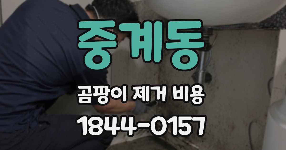 중계동 곰팡이 제거 비용