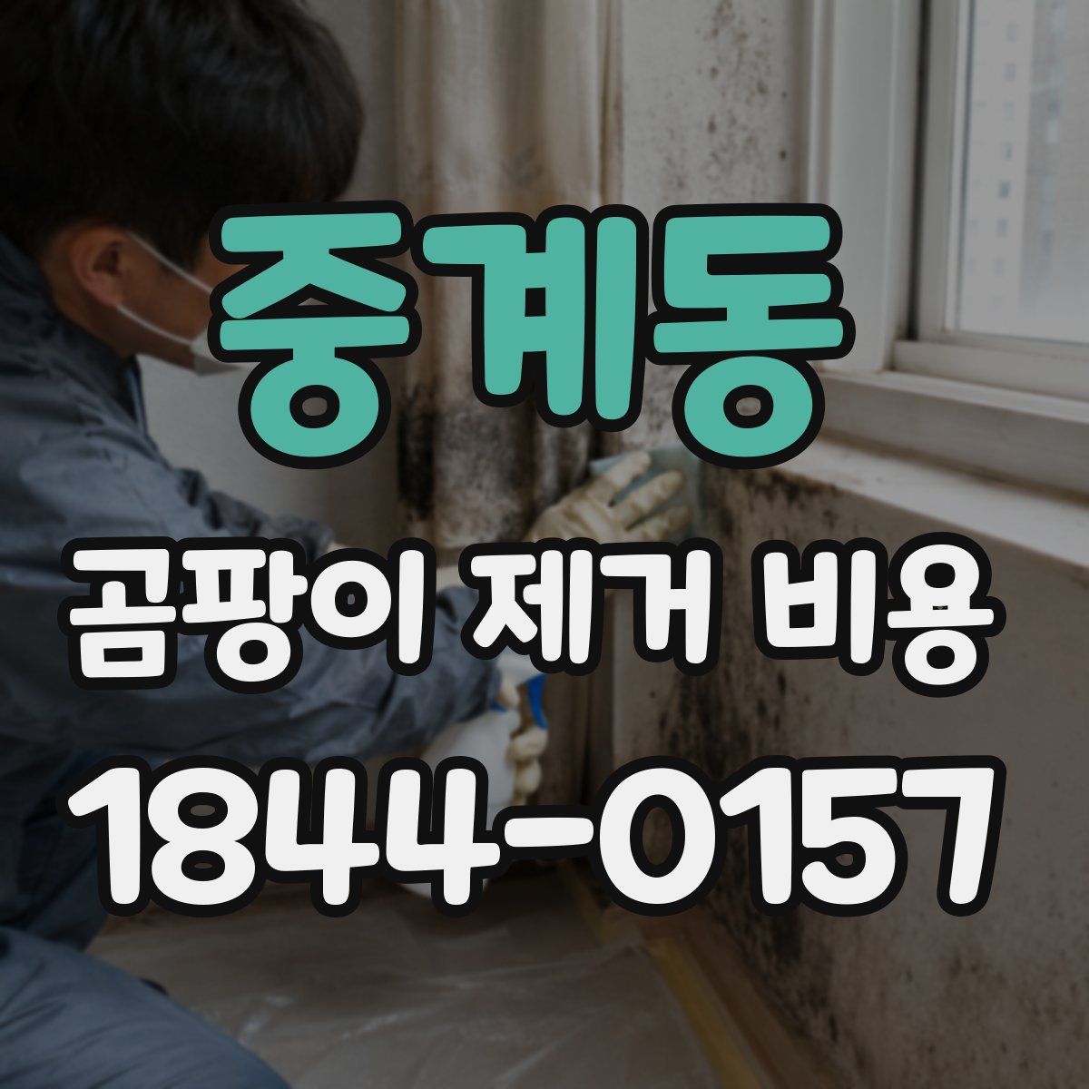 중계동 곰팡이 제거 비용
