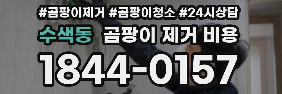 수색동 곰팡이 제거 비용