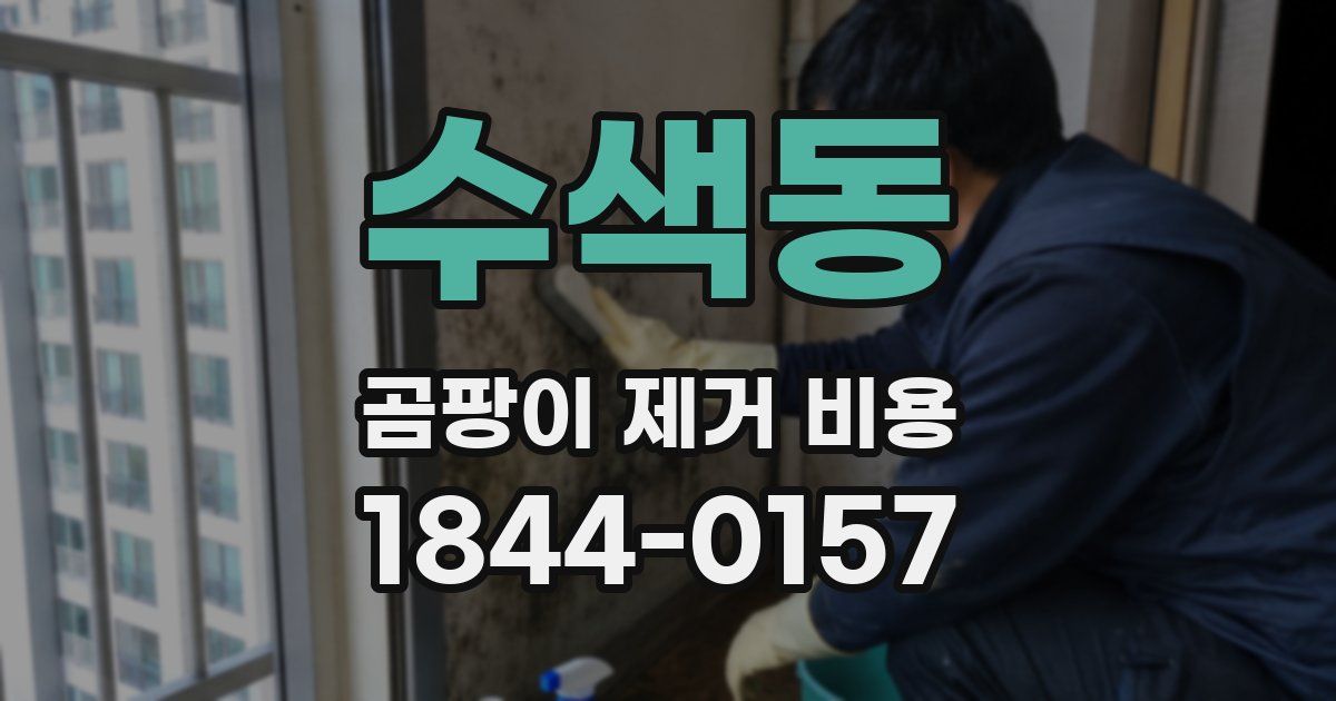 수색동 곰팡이 제거 비용