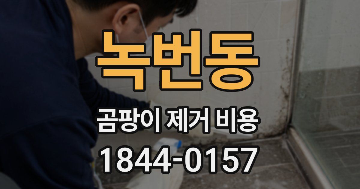 녹번동 곰팡이 제거 비용