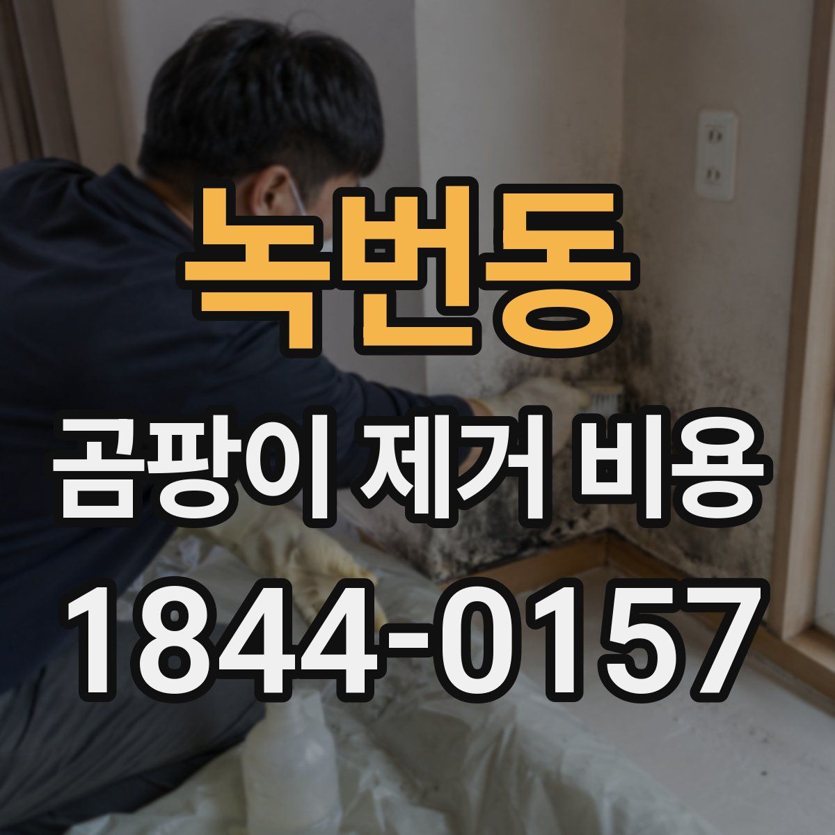 녹번동 곰팡이 제거 비용
