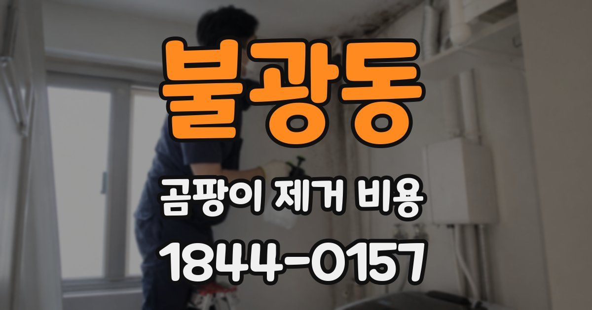 불광동 곰팡이 제거 비용