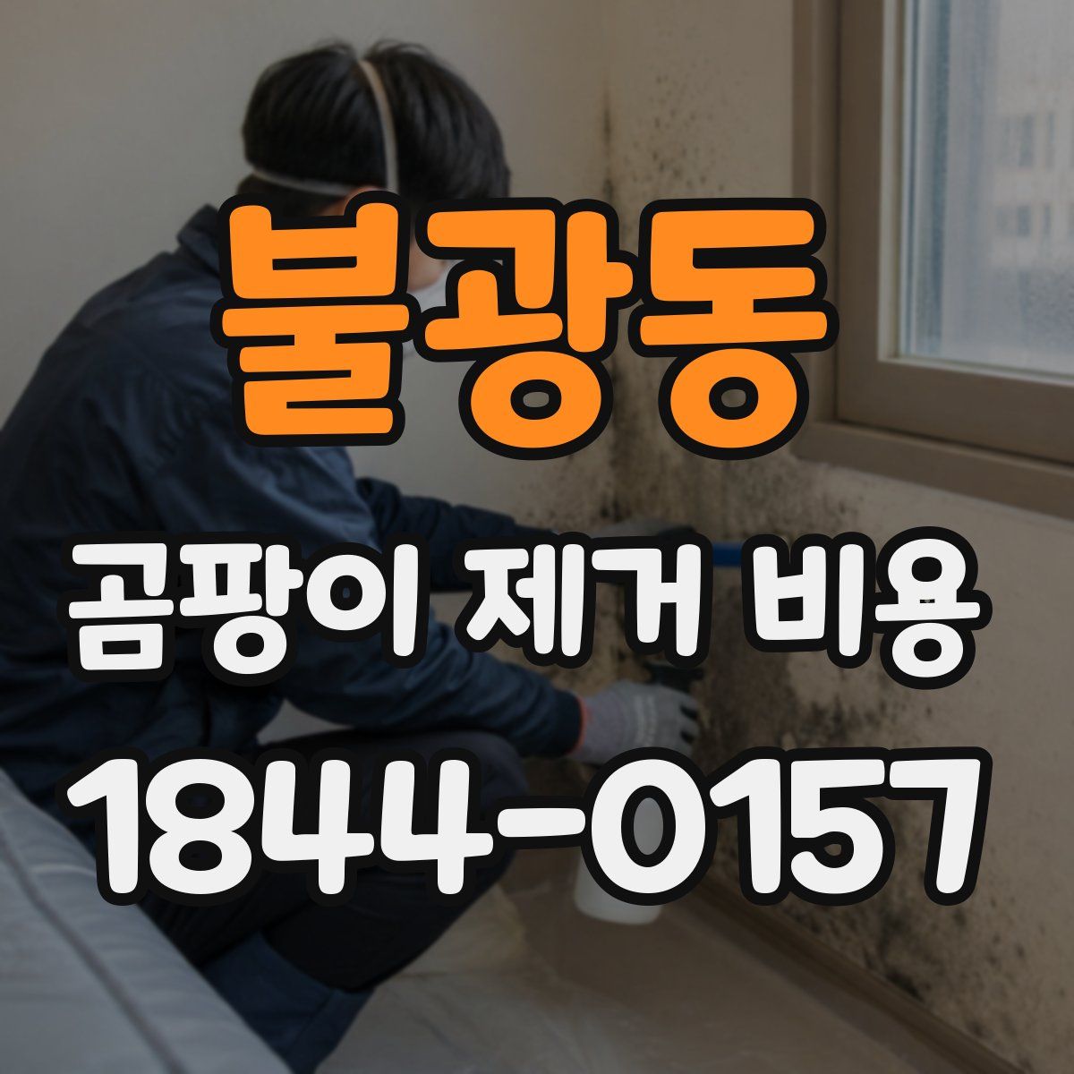 불광동 곰팡이 제거 비용