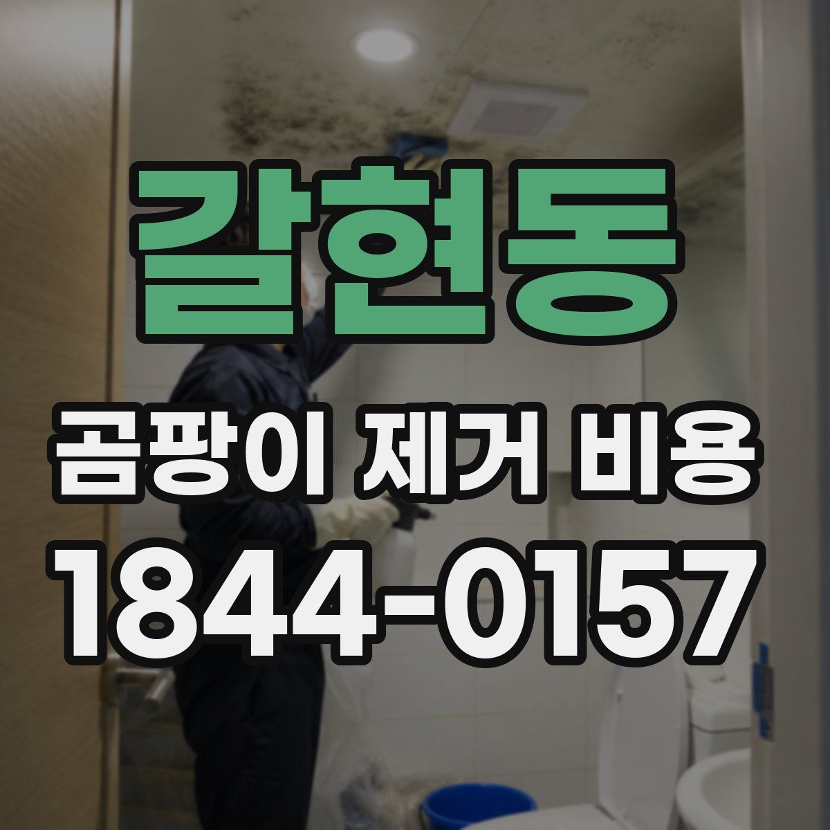 갈현동 곰팡이 제거 비용