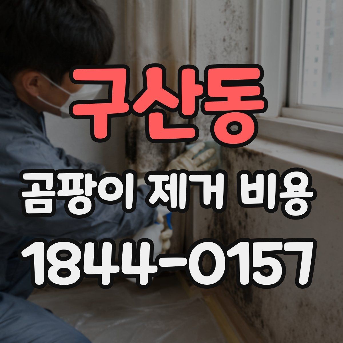 구산동 곰팡이 제거 비용 견적에 냄새 제거가 포함되는지
