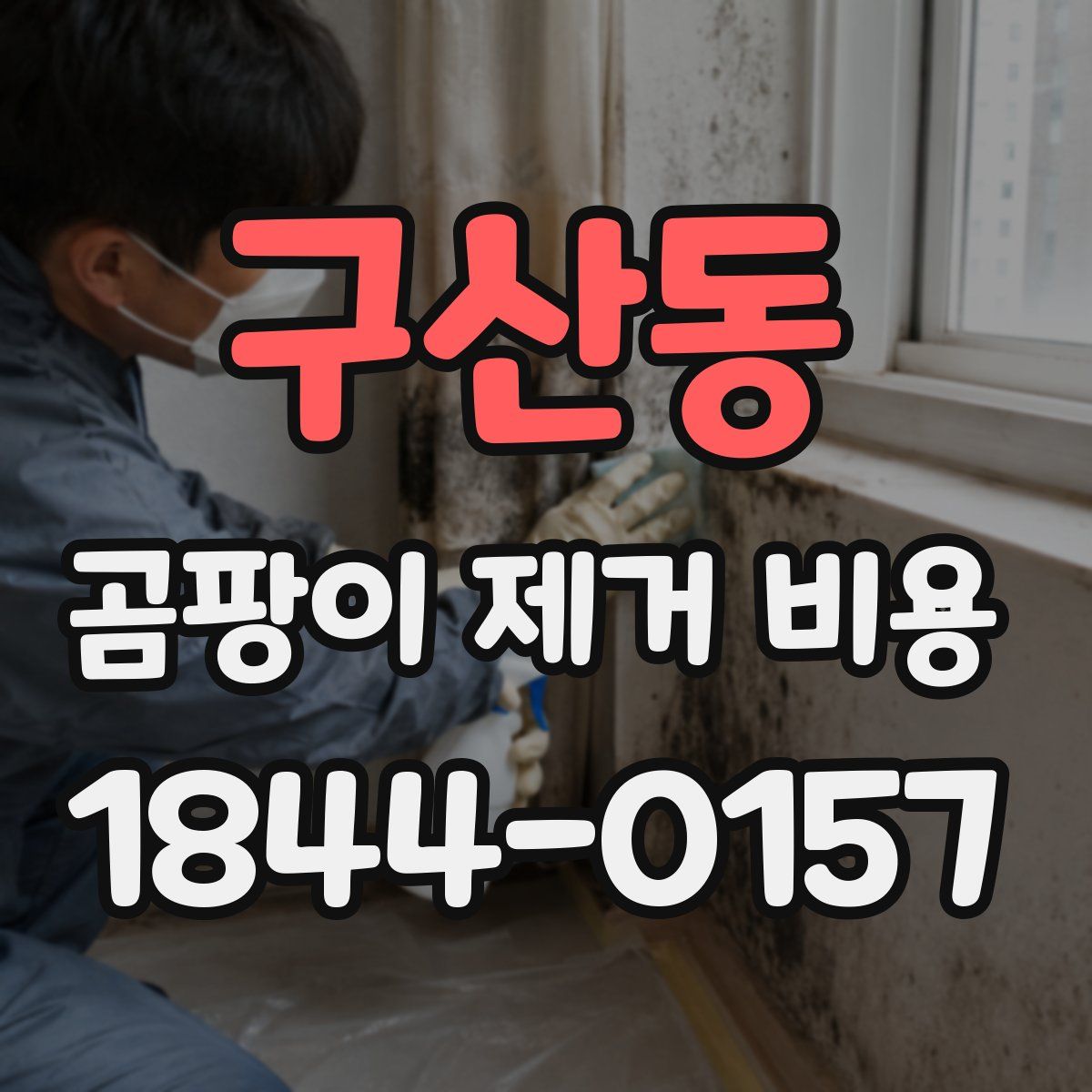 구산동 곰팡이 제거 비용
