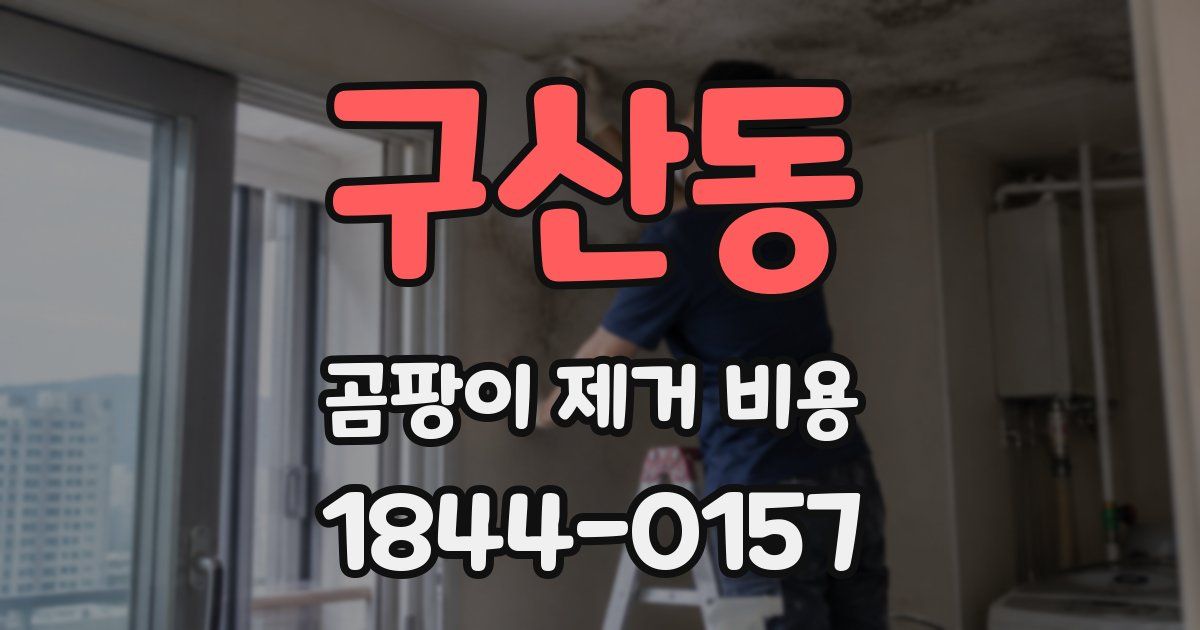 구산동 곰팡이 제거 비용