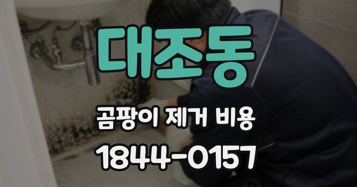 대조동 곰팡이 제거 비용