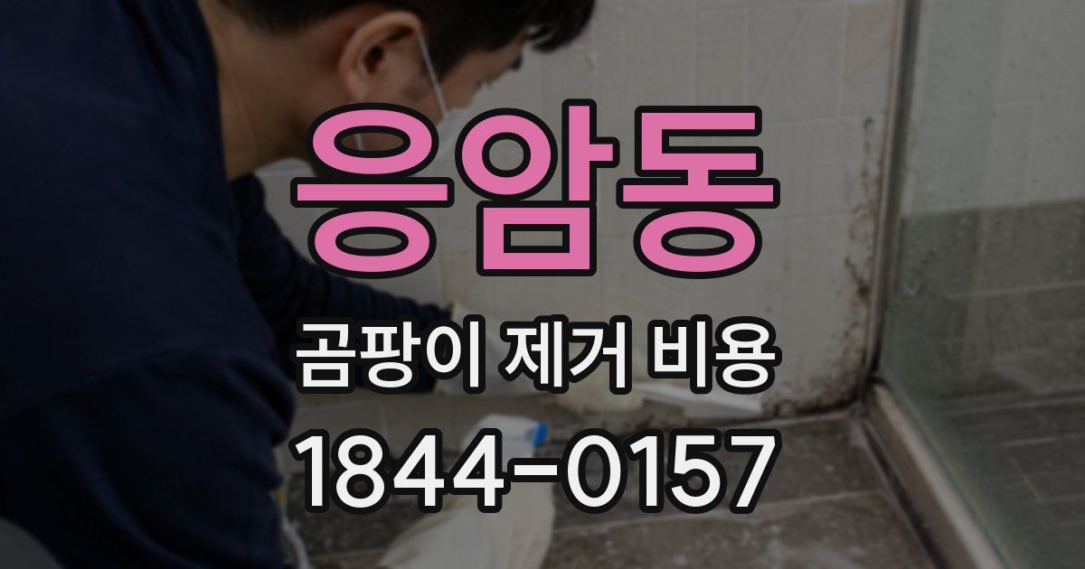 응암동 곰팡이 제거 비용